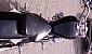 honda-vt-600-shadow