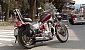 suzuki-intruder-800