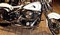 harley-davidson-softail-fxstc-custom