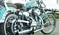 harley-davidson-sportster-xl883c-custom