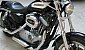 harley-davidson-sportster-xl1200r-roadster harley-davidson-sportster-xl1200r-roadster
