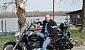 suzuki-intruder-volusia-800 suzuki-intruder-volusia-800