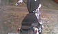 yamaha-xv-virago