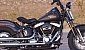 harley-davidson-softail-flstsb-cross-bones harley-davidson-softail-flstsb-cross-bones