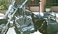 harley-davidson-sportster harley-davidson-sportster