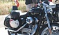 harley-davidson-sportster
