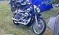 harley-davidson-sportster-xl883c-custom harley-davidson-sportster-xl883c-custom