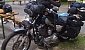harley-davidson-sportster-xl883c-custom harley-davidson-sportster-xl883c-custom