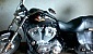harley-davidson-sportster