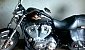 harley-davidson-sportster harley-davidson-sportster