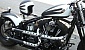 harley-davidson-softail-flstsb-cross-bones