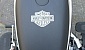 harley-davidson-softail-flstsb-cross-bones