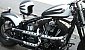 harley-davidson-softail-flstsb-cross-bones