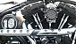 harley-davidson-softail-flstsb-cross-bones