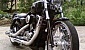 harley-davidson-sportster-xl883c-custom