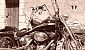 harley-davidson-softail-fxsts-springer