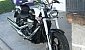 suzuki-intruder-800 suzuki-intruder-800