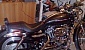 harley-davidson-sportster-xl883c-custom