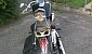 honda-vt-750-shadow honda-vt-750-shadow