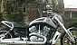 harley-davidson-v-rod-vrsca harley-davidson-v-rod-vrsca