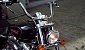 harley-davidson-sportster-xl883c-custom harley-davidson-sportster-xl883c-custom
