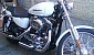 harley-davidson-sportster-xl883c-custom