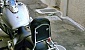 honda-vt-750-black-widow