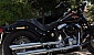harley-davidson-softail-flstsb-cross-bones