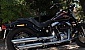 harley-davidson-softail-flstsb-cross-bones