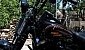 harley-davidson-softail-flstsb-cross-bones