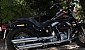 harley-davidson-softail-flstsb-cross-bones