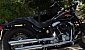 harley-davidson-softail-flstsb-cross-bones