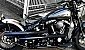 harley-davidson-softail-flstsb-cross-bones