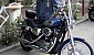 harley-davidson-sportster-xl883c-custom