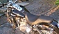 harley-davidson-dyna-fxd-super-glide