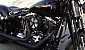 harley-davidson-softail-flstsb-cross-bones