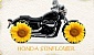 honda-vt-750-shadow