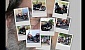 2deg-harley-amp-flowers-2005-20-8049