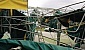 ivdeg-smoking-wheels-day-2005-35-582