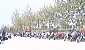 motoserata-2006-2006-263-3377