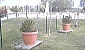 motoserata-2006-2006-263-3379
