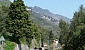 garda-run-2006-2006-300-3105