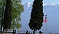garda-run-2006-2006-300-3107