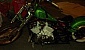 9-festa-bikers-2006-311-5920