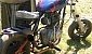 gatto-lupo-motobrule039-10-memorial-aldo-forzani-2006-339-3653