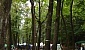 10deg-ottombrefest-2006-519-7016
