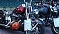 20deganniversario-steel-roses-mc-2007-732-10977