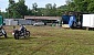 xi-gattolupo-2007-916-10219