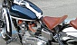fivelands-2007-1066-11368