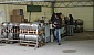 2deg-dorikan-sea-2008-1309-16193